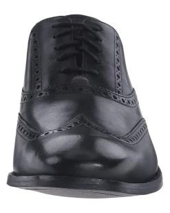 Cole Haan Williams Wingtip | Oxfords -Nine West Shop 71mDft96MbL. AC SR736920